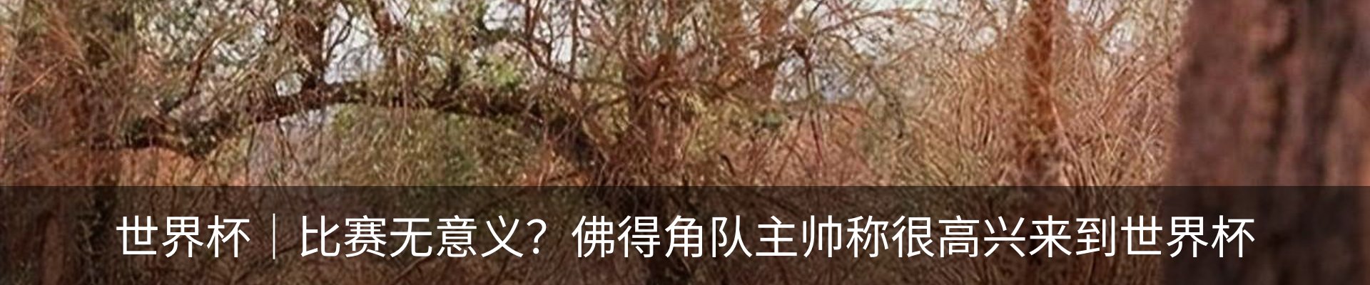 资讯动态