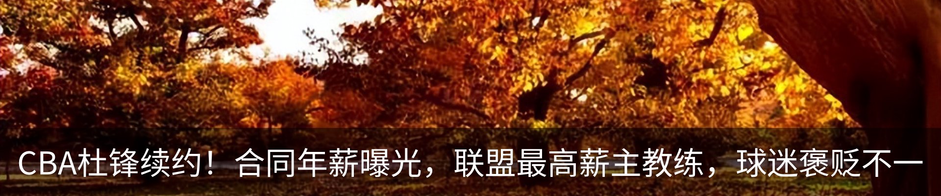资讯动态